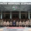 NOMADIC ELEPHANT