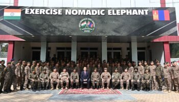 NOMADIC ELEPHANT