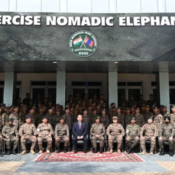 NOMADIC ELEPHANT