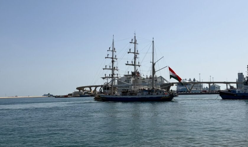 INS Sudarshini