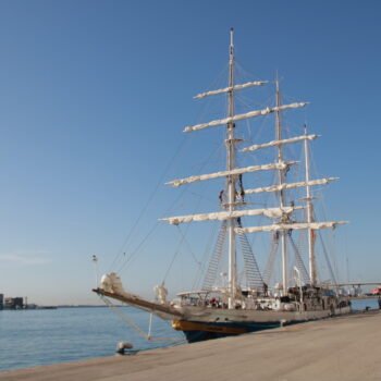 INS Sudarshini