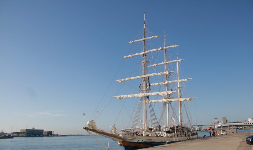 INS Sudarshini